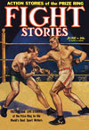 Fight Stories